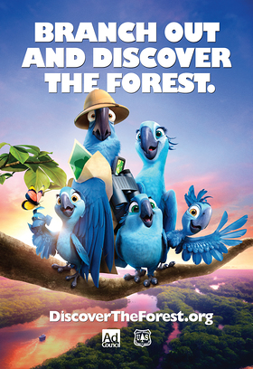 Discover The Forest With Rio 2