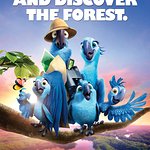 Discover The Forest With Rio 2