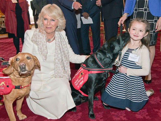 The Duchess of Cornwall at the Medical Detection Dogs Demonstration