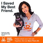 How Rescue Pets Danced Their Way Into The Heart Of Carrie Ann Inaba