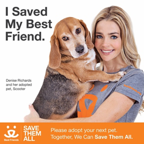 Denise Richards - Save Them All