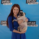 Renee Olstead Hosts Blankets For Shelters Drive