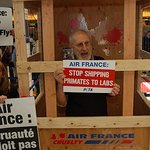 James Cromwell Protests Against Air France