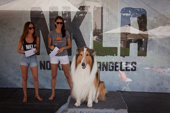 Stylist/blogger Sydne Summer and model/television personality Asha Leo onstage with iconic American hero dog Lassie Stylist/blogger Sydne Summer and model/television personality Asha Leo onstage with iconic American hero dog Lassie