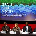 Bob Geldof And Kofi Annan Launch Africa Progress Report
