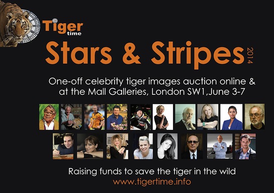 2014 Stars & Stripes celebrity art auction