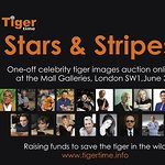 Celebrity Art Auction Supports Tigers In The Wild