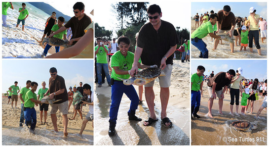 NBA Star Yao Ming saves endangered marine turtles with Sea Turtles 911