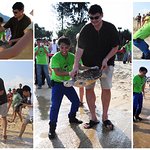 NBA Star Yao Ming Saves Endangered Sea Turtles