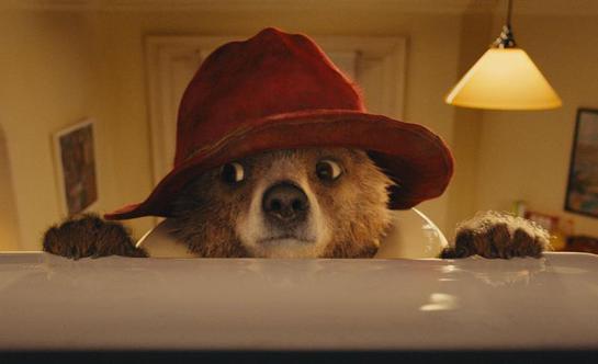 Paddington Bear