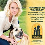 Katherine Heigl Supports Remember Me Thursday