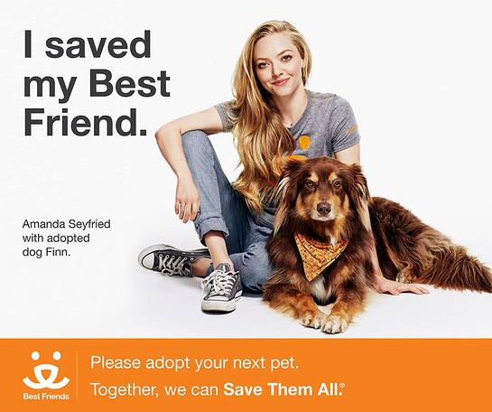 Amanda Seyfried Wants Your Help To Save Them All