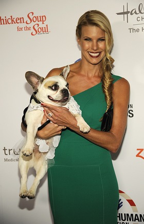 Beth Stern Co-Hosts Hero Dog Awards Beth Stern Co-Hosts Hero Dog Awards
