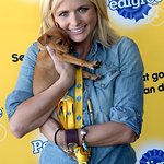 Miranda Lambert Puts Shelter Dogs Center Stage At Pedigree Adoption Suite