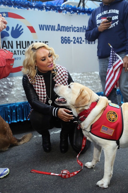 Coco and Military Dog