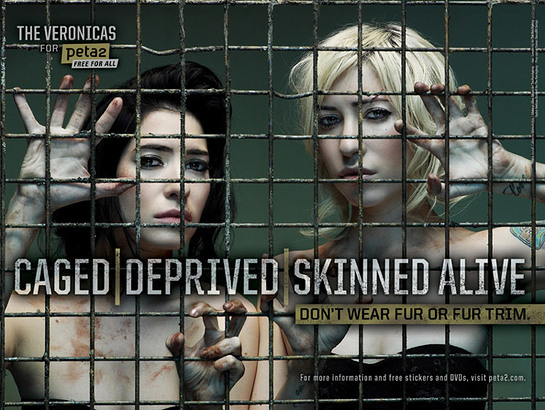 The Veronicas New PETA Ad