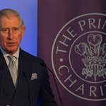 Prince Charles Talks At Sustainability Summit
