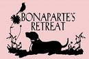 Bonaparte's Retreat