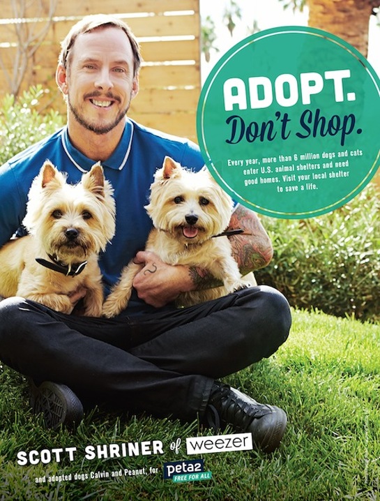 Scott Shriner From Weezer With His Dogs