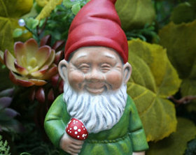 Hairy Gnomes Are Happy Gnomes