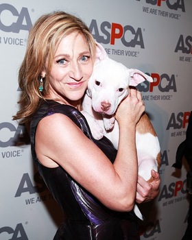 Edie Falco at ASPCA Bergh Ball