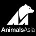Photo: Animals Asia