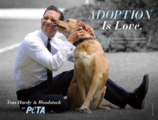 Tom Hardy PETA Ad