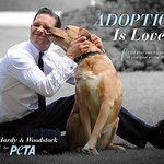 Tom Hardy Encourages Pet Adoption