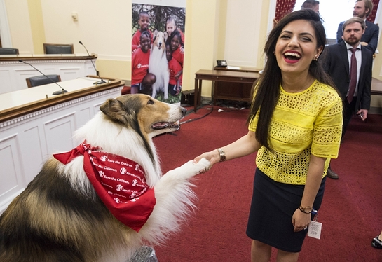 Lassie shakes paws with Sophia M. Anwar, a staffer for Rep. Brenda Lawrence