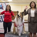 Lassie Lends A Paw In Urging Congress To Protect Kids From Disaster