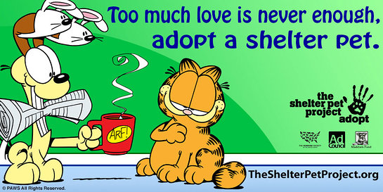 Garfield Joins Shelter Pet Project