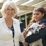 Duchess Of Cornwall Visits Special Farm In London