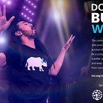 Steve Aoki - Don't Buy Wild