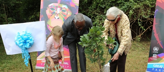 Jane Goodall (R) and UNEP Deputy Executive Director, Ibrahim Thiaw (L) during the tree-planting ceremony