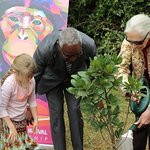 Jane Goodall Promotes Environment At United Nations Ceremony In Kenya