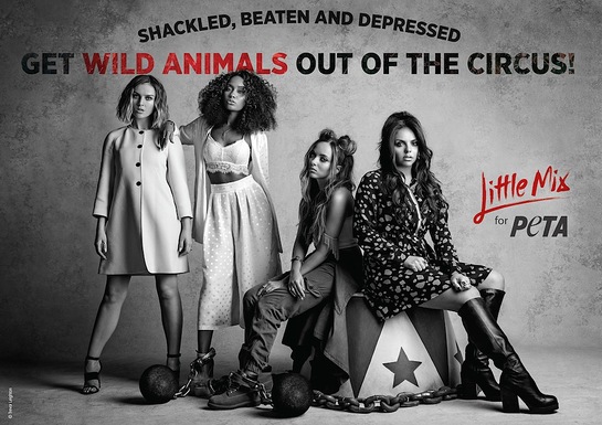 Little Mix - Get Wild Animals Out of the Circus