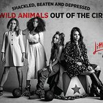 Little Mix Want Wild Animals Out Of The Circus